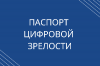 Паспорт цифровой зрелости. О новой услуге ТПП