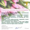 Поздравление Президента ТПП НТ Бориса Соколова с 8 Марта