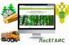 Обучающий семинар «Проблемы и возможности внедрения единой государственной автоматизированной информационной системы учета древесины и сделок с ней (ЛесЕГАИС)»